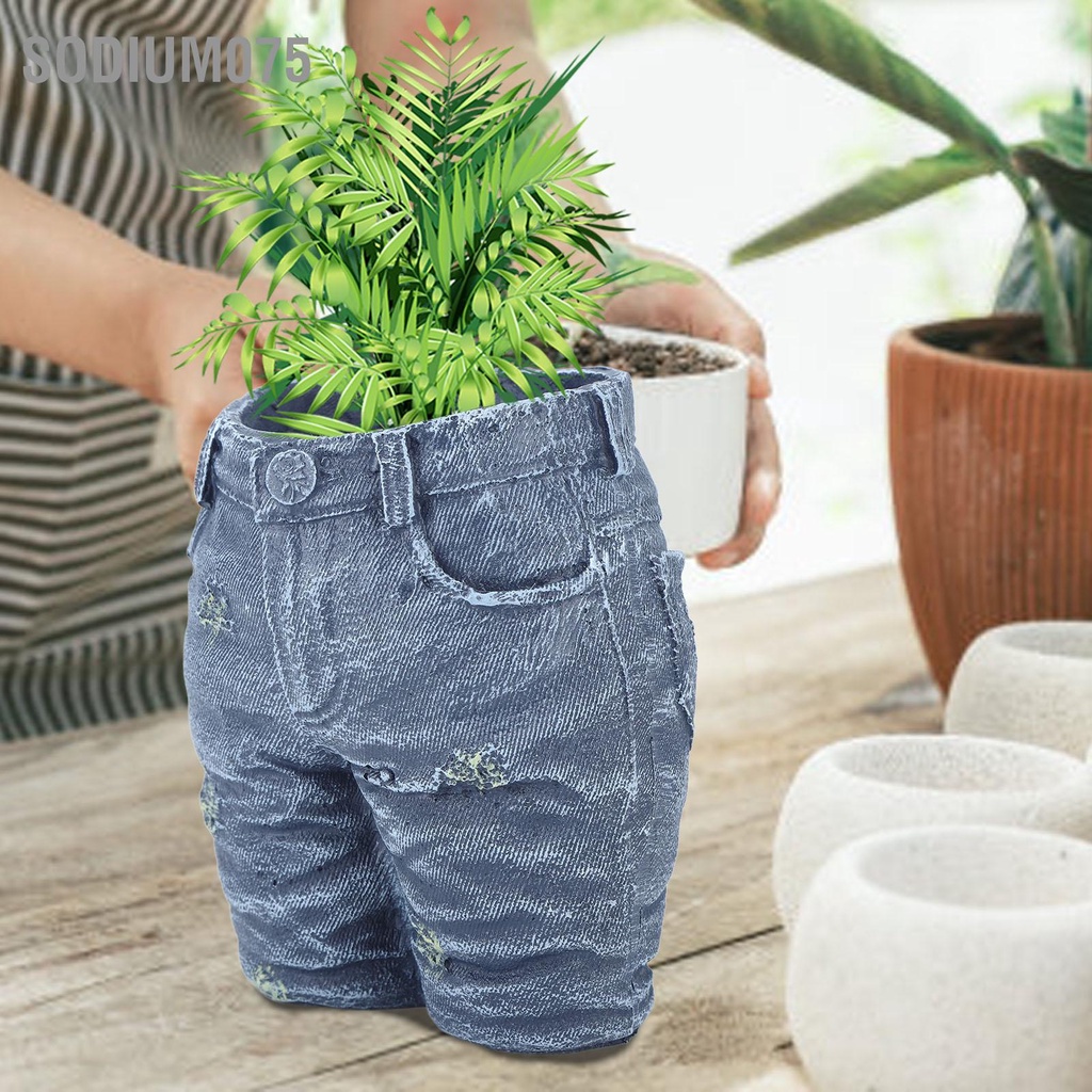 Sodium075 Sáng Tạo Hoa Denim Trang Trí Nồi Quần Áo Cho Vườn Thủ Công