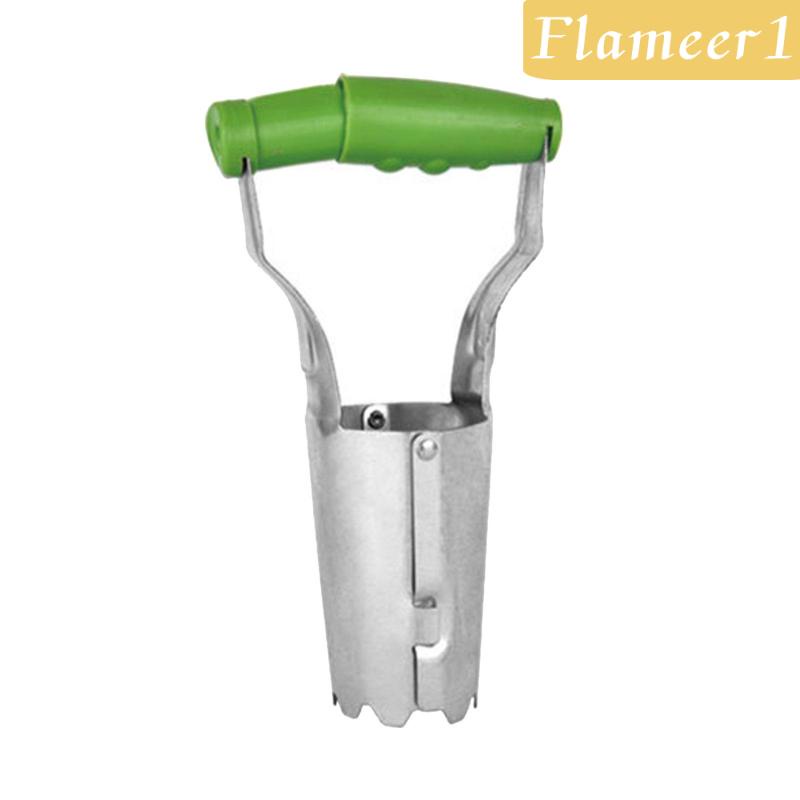 Bóng Đèn Trồng Cây Trong Vườn Kích Thước 4 Inches Đo Vết Rạn Da Tay