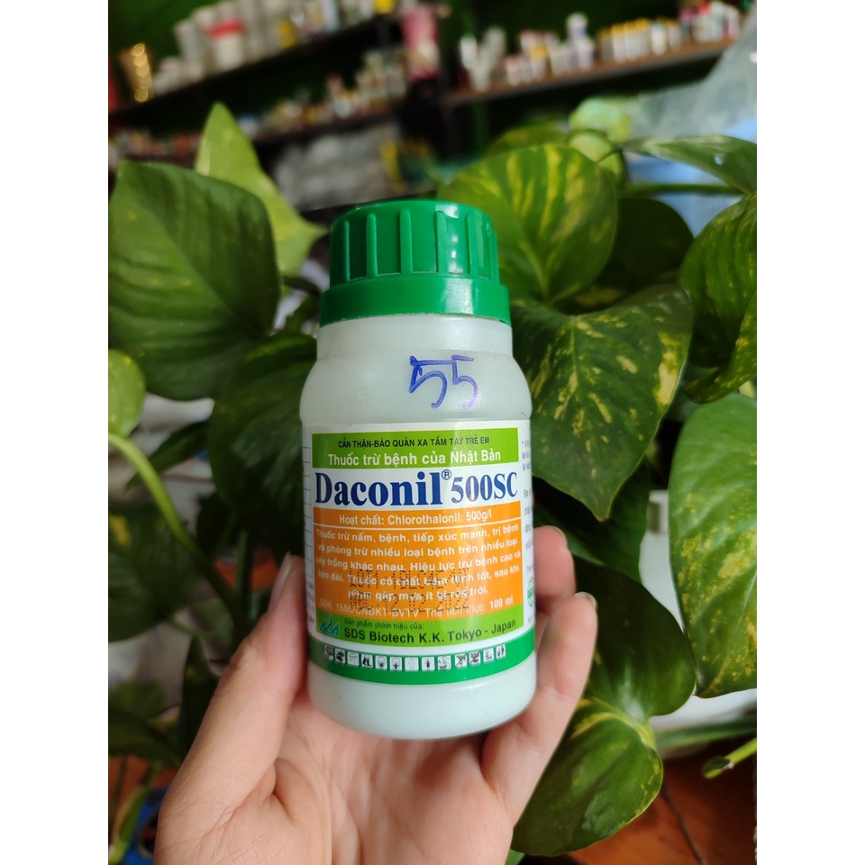 DACONIL 500SC - THUỐC TRỪ BỆNH - 100ML