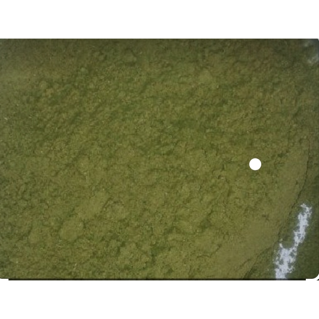 2kg Bột Gòn mịn kết dính  thức ăn chăn nuôi, làm nhang, ép cám viên hoặc trộn cám câu cá..