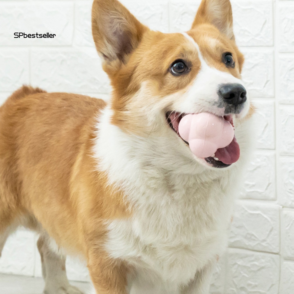 Bóng Cao Su Đồ Chơi Trong Nhà Chống Cắn Siêu Bền Độc Đáo Cho Thú Cưng