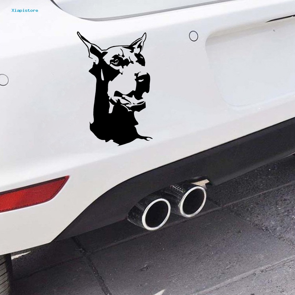 Miếng Dán Trang Trí Xe Hơi / Xe Máy Hình Chú Chó Doberman Độc Đáo