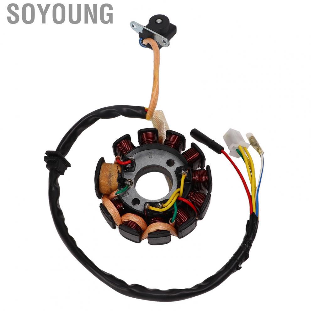 Soyoung Generator Stator Coil  High Performance Easy Installation Magneto Generator Stator Coil High Temperature Resistant 11 Coil  for Scooter