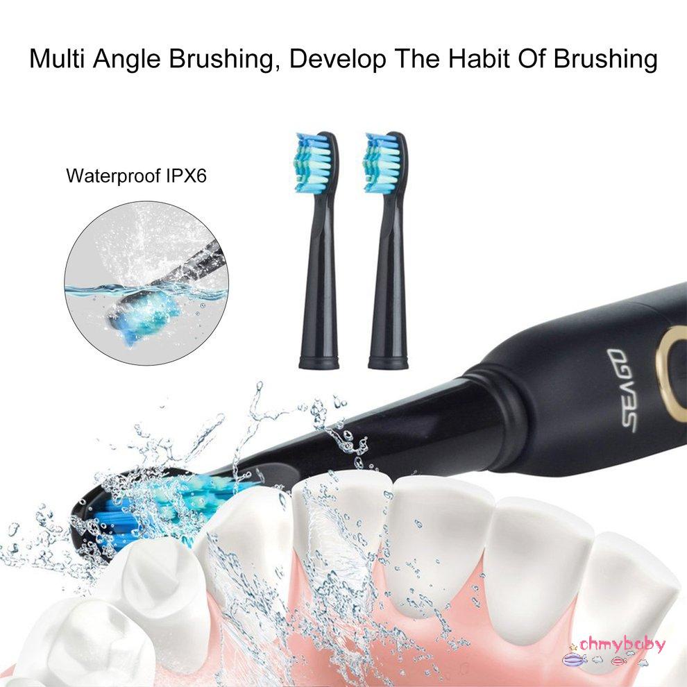 [OMY] Seago Sg-507 Bàn Chải Đánh Răng Điện Hẹn Giờ Thông Minh Sonic USB Sạc Chống Nước Cho Người Lớn [P/16]