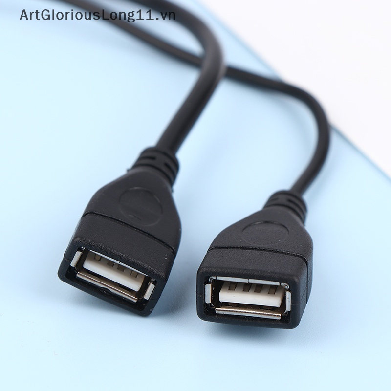 1 Dây Nối Dài Chuyển Đổi Cổng Cắm 15 / 30cm Sang 2 Ổ Cắm USB 2.0 Chuyên Dụng