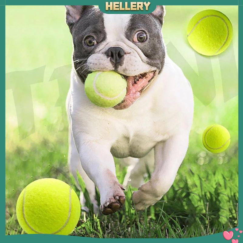 Quả Bóng Tennis Cao Su Co Giãn Tốt Dùng Huấn Luyện Thú Cưng