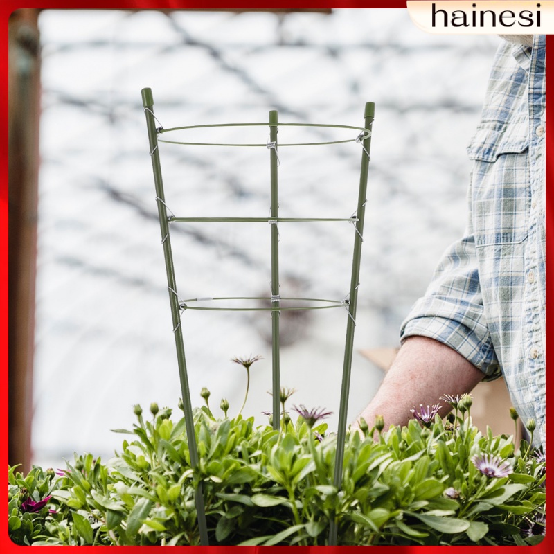 Bộ 3 Khung Giá Đỡ Chậu Cây Leo Bằng Kim Loại Tiện Dụng