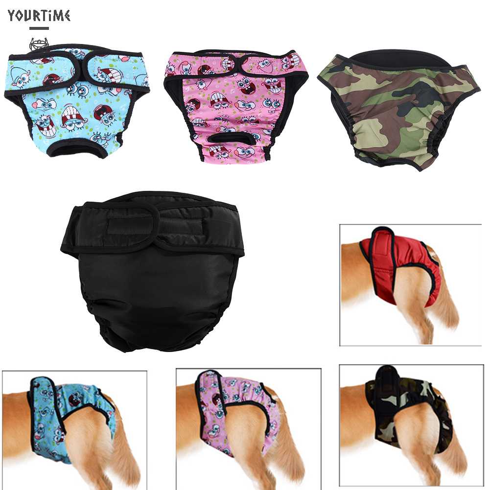 Quần Lót Sinh Lý Cỡ Lớn Có Thể Giặt Sạch Tiện Dụng Cho Cún Cưng