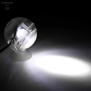 Đèn LED 1W Chiếu Sáng Hồ Cá Chống Thấm Nước