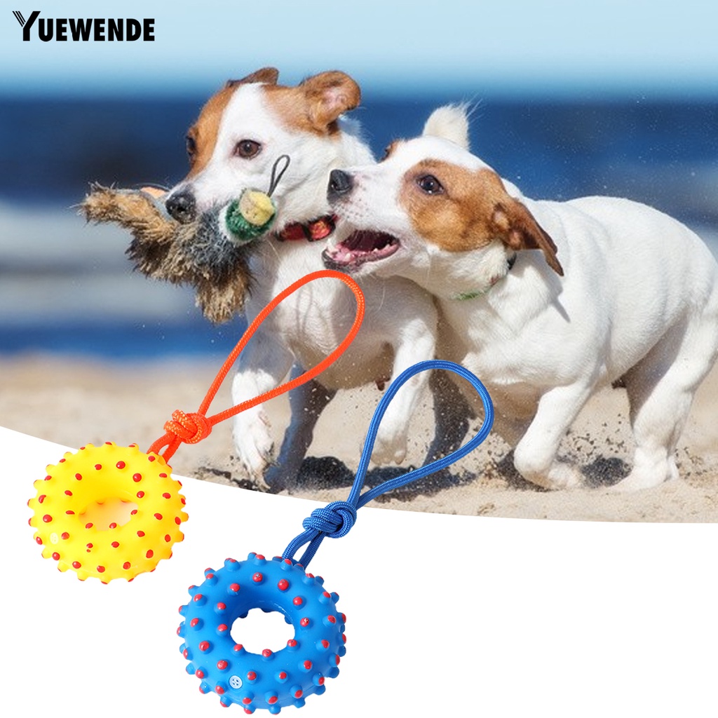 Đồ Chơi Huấn Luyện Thú Cưng Chống Trầy Xước Họa Tiết Hoạt Hình Có Âm Thanh Dễ Thương