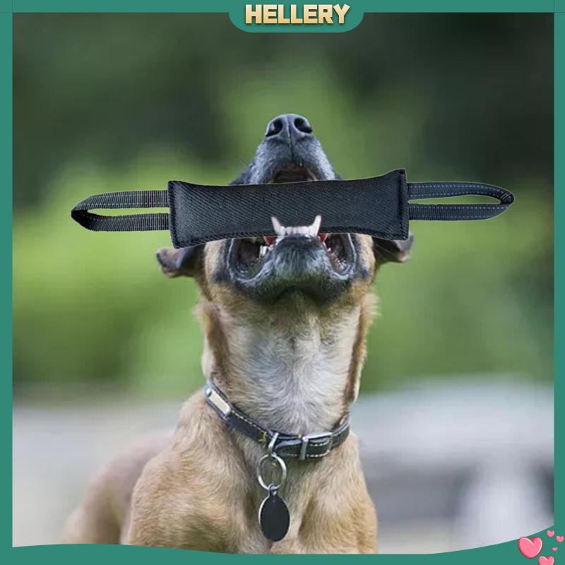 Đồ Chơi Nhai Gặm Hai Tay Cầm Mềm Mại Dành Cho Cún Cưng