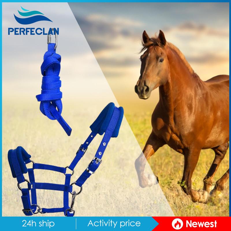 Dây Đeo Đầu Có Đệm Ngựa Cob Có Thể Điều Chỉnh Cho Equestrian