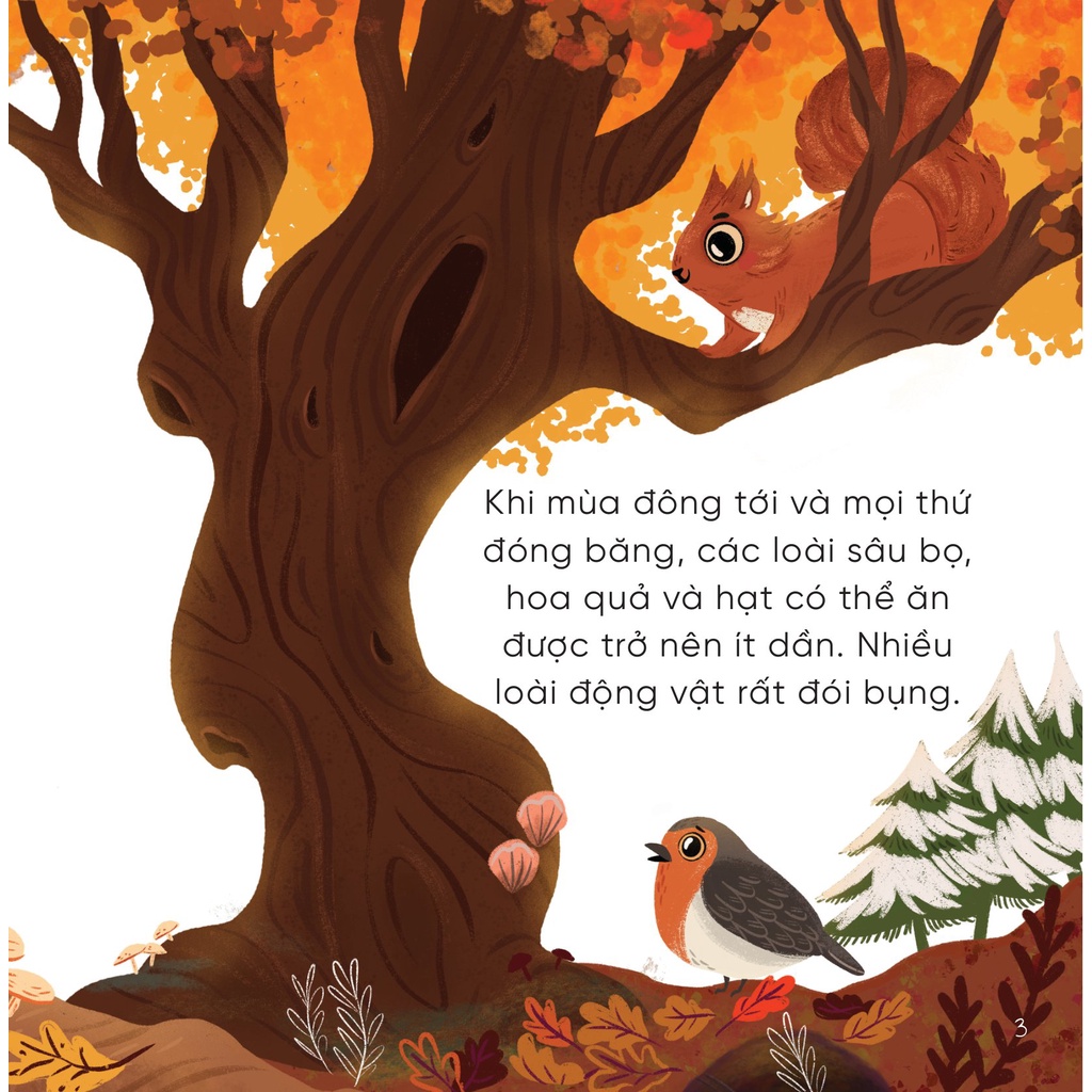 Sách – Những Bài Học Nhỏ Từ Rừng Xanh - Chú Chim Ích Kỷ Học Cách Chia Sẻ (DTI)