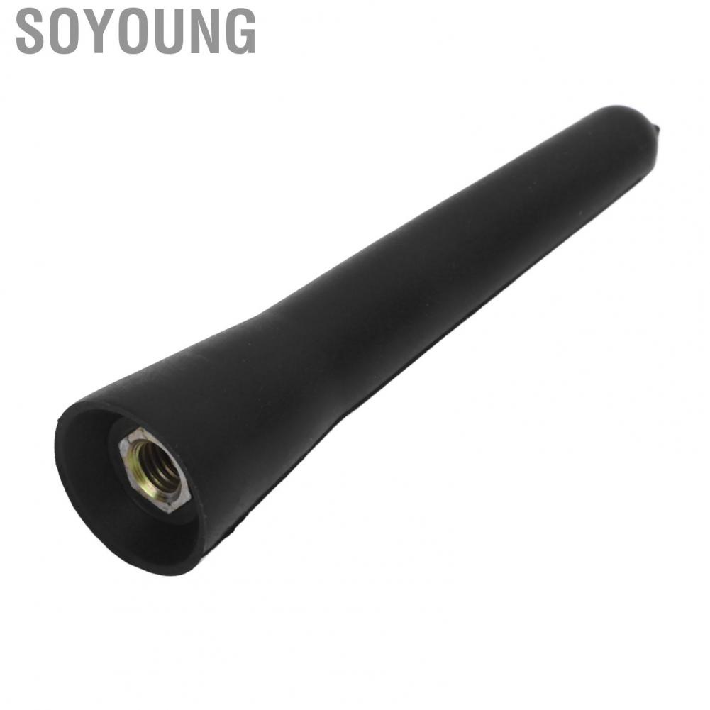 Soyoung Roof Mount Short  Size for Car