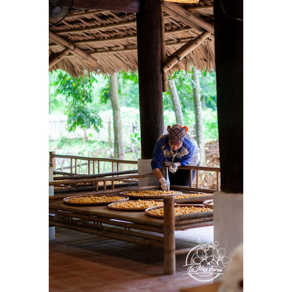 Mơ muối Umeboshi – Lá Mây Farm