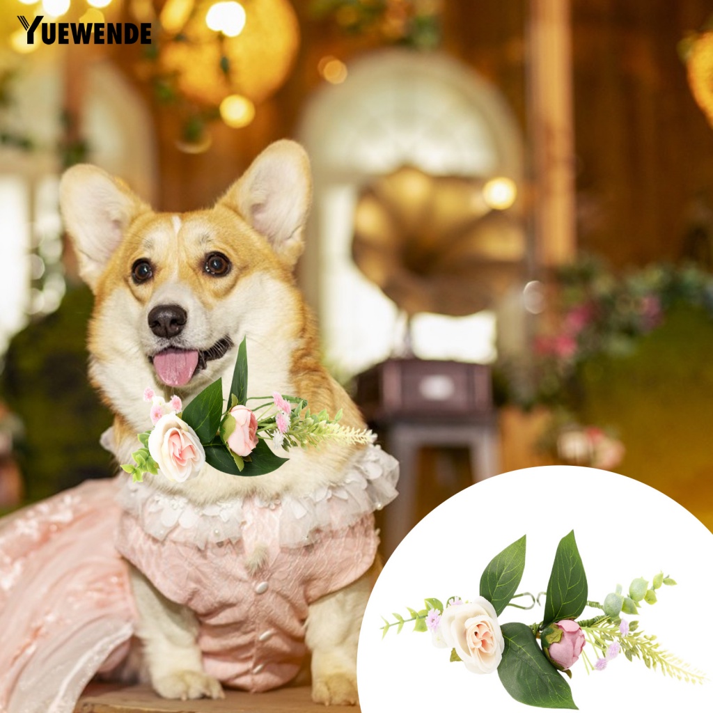 Vòng Đeo Cổ Bằng Nhựa Chống Mòn Dành Cho Thú Cưng