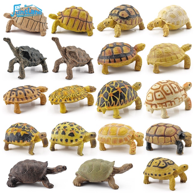 Mô Hình Rùa Amphibian Sống Động Như Thật Trang Trí Nhà Cửa