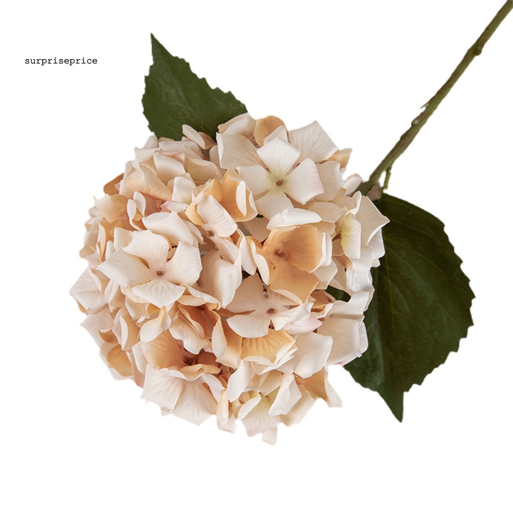 Spa Cánh Hoa Nhân Tạo Nhiều Lớp Dùng Trang Trí Phòng Khách / Tiệc Tùng DIY