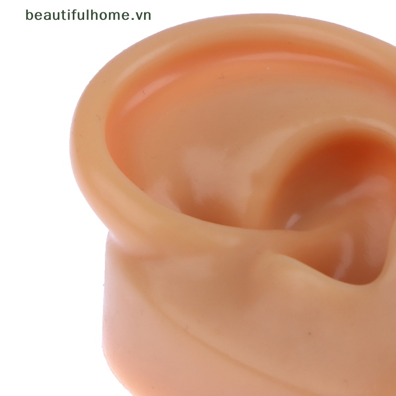 1 Mô Hình Tai Nhân Tạo Bằng Silicon Mềm Dùng Dạy Học