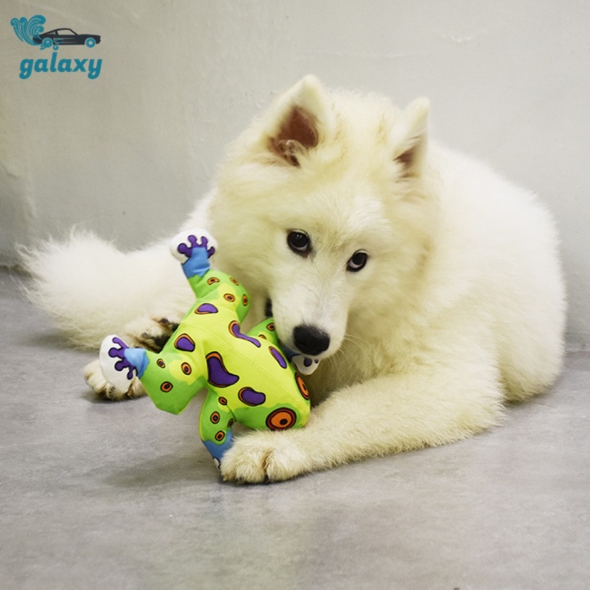 Galaxy Đồ Chơi Gặm Chống Cắn Phát Ra Tiếng Kêu Tương Tác Cho Thú Cưng