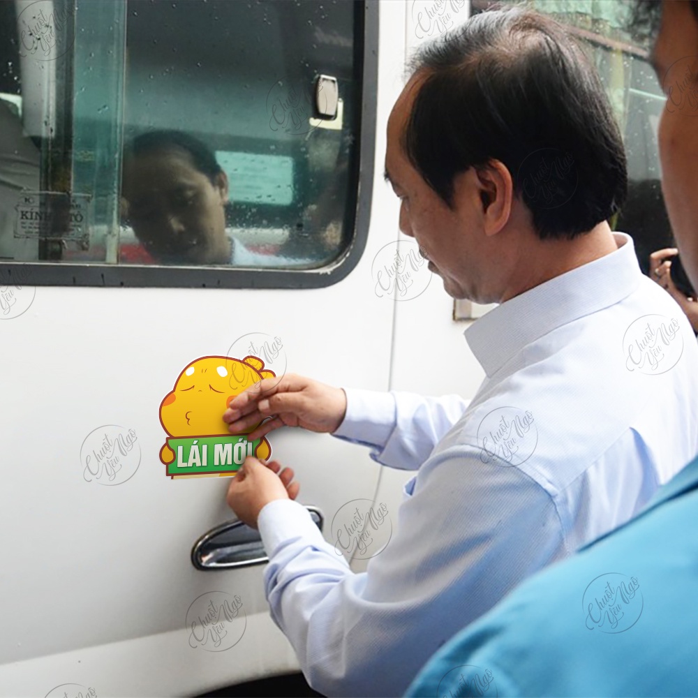 Combo 2 miếng dán Khủng Long Vàng Lái Mới lấy bằng thông cảm dễ thương trang trí xe hơi ô tô decal nhựa chống thấm nước