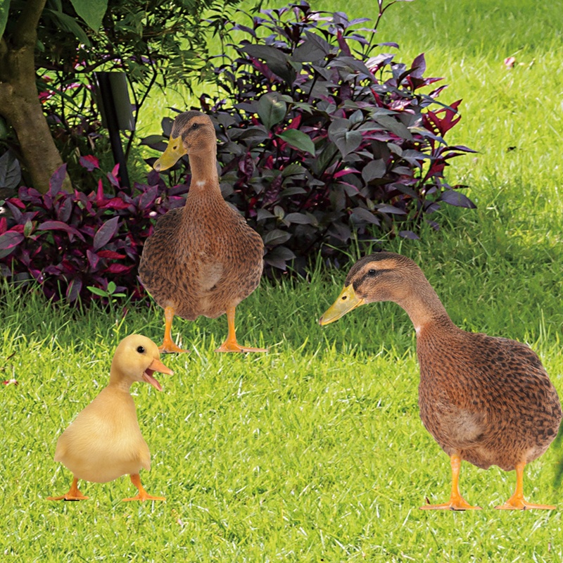 Bộ 3 Tượng Vịt Hai Mặt Bằng Acrylic Dùng Trang Trí Sân Vườn