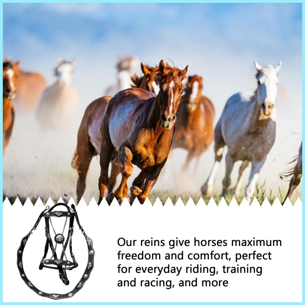 Dây Buộc Ngựa Và Dây Dẫn Bằng Da PU Cho Ngựa Unfettered Thiết Kế Tiện Dụng Thoải Mái