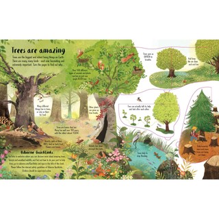 Sách Lift-the-Flap Trees (Board Book)