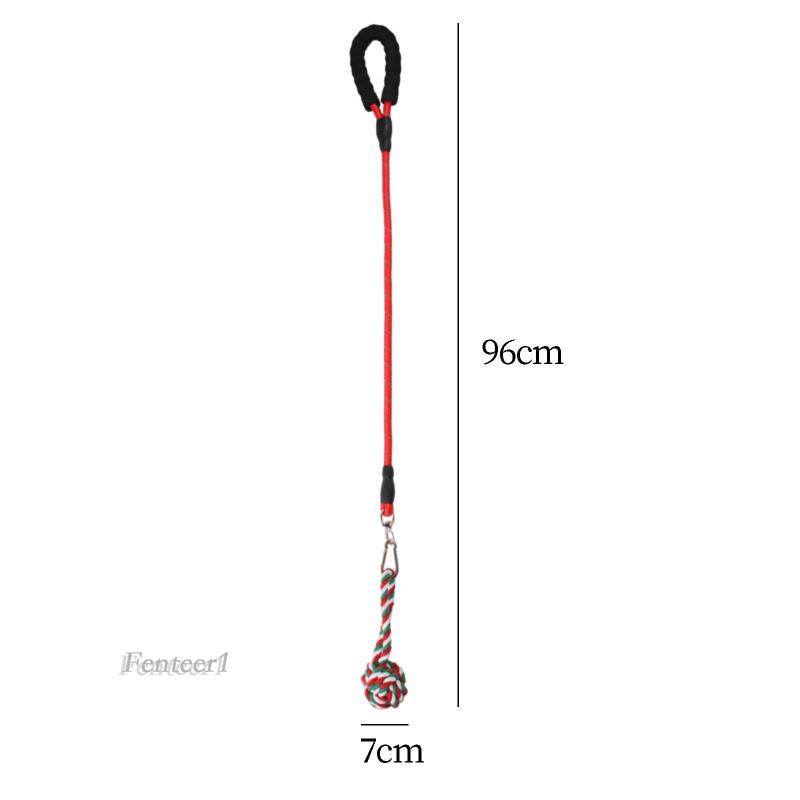 Dây Thừng Huấn Luyện Thú Cưng Trong Nhà / Ngoài Trời Tiện Dụng Fenteer1