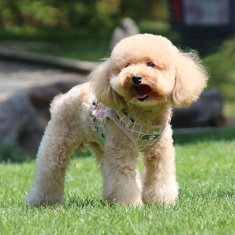 Dây Dắt Thú Cưng Đi Dạo Thoáng Khí In Họa Tiết Caro Phản Quang Thời Trang