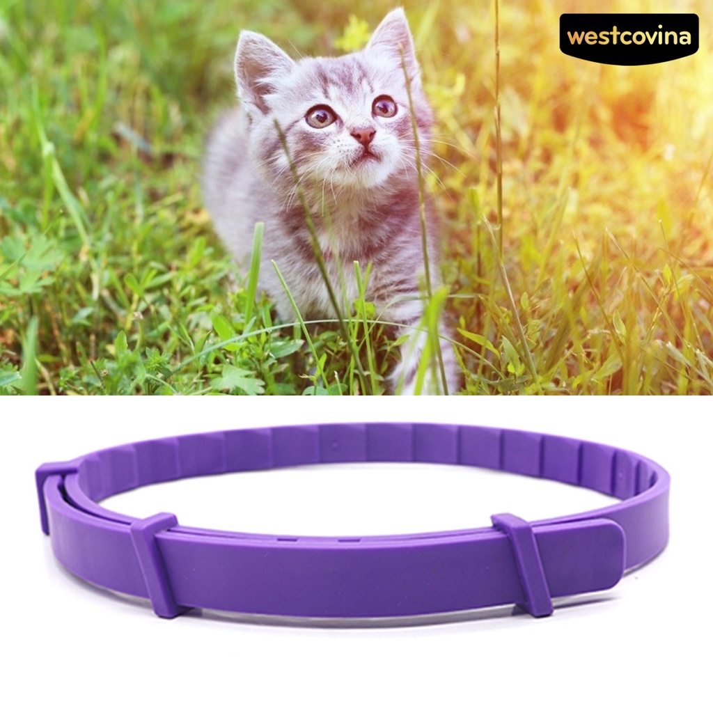 [COD]♞Vòng Cổ Có Thể Điều Chỉnh Thân Thiện Với Môi Trường Giúp Giảm Căng Thẳng Dành Cho Thú Cưng