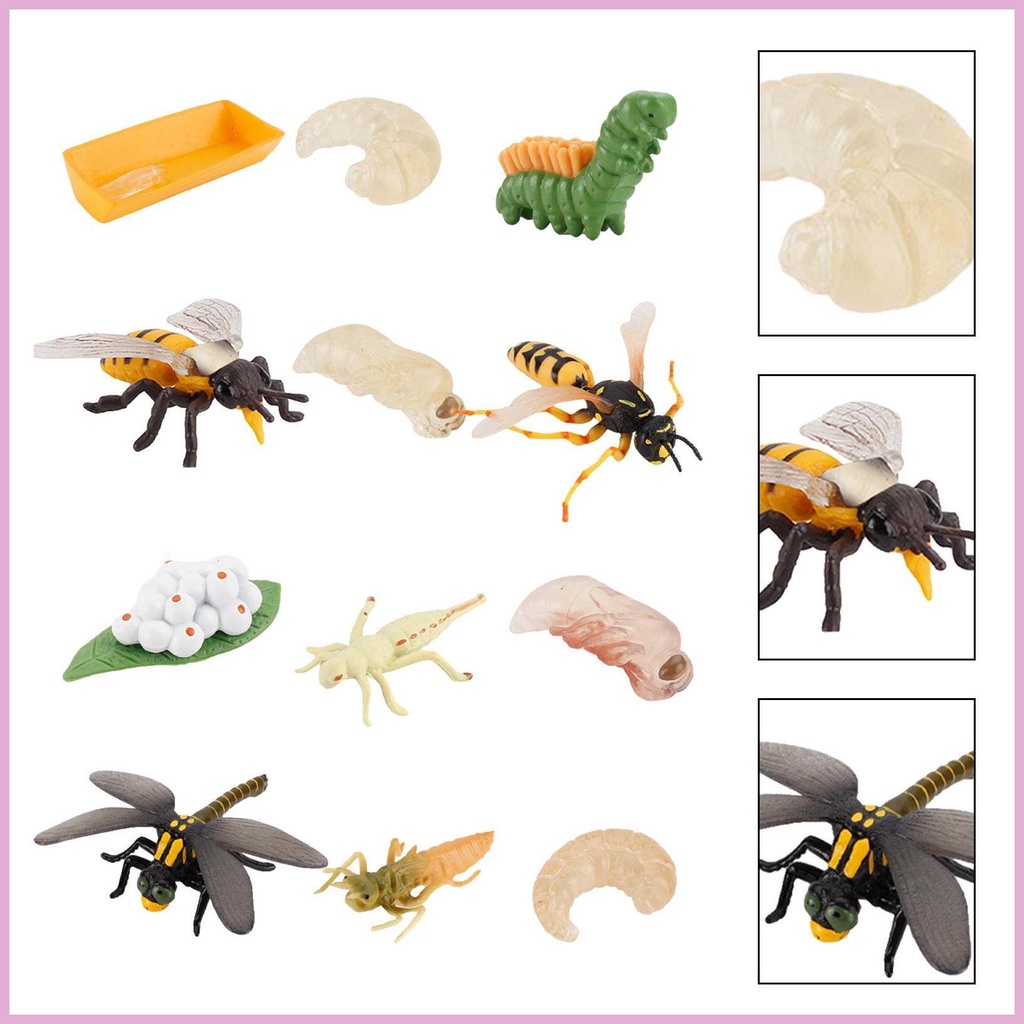 Set 12 Tượng Côn Trùng Đồ Chơi Cho Bé
