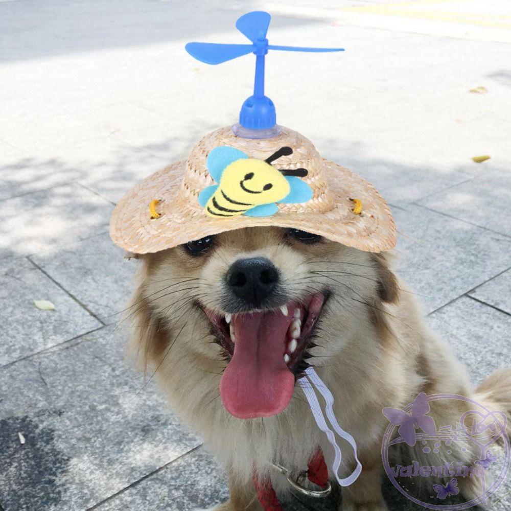 Nón Cói Rộng Vành Họa Tiết Hoạt Hình Thời Trang Mùa Hè 2023 Cho Thú Cưng