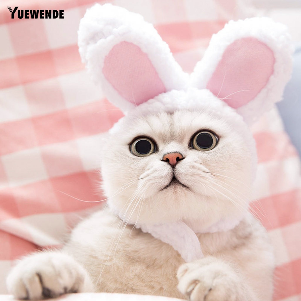 Băng Đô Tai Thỏ Hóa Trang Dễ Thương Cho Thú Cưng