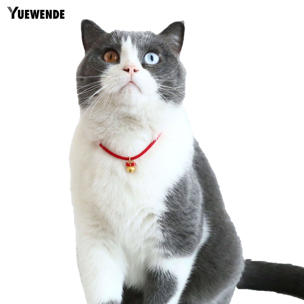 Vòng Cổ Màu Trơn Đính Chuông Cho Thú Cưng