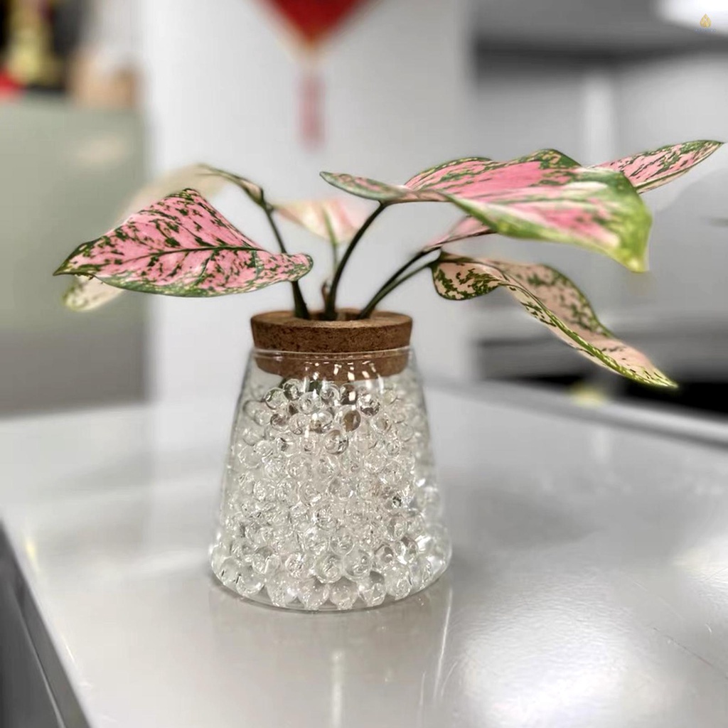 Túi Hạt Pha Lê Trong Suốt Không Độc Hại Trang Trí Trong Nhà Cho Bé 50000 50000