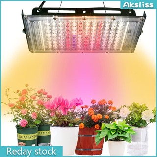 Đèn Led Trồng Cây 50w Có Phích Cắm Cho Nhà Kính