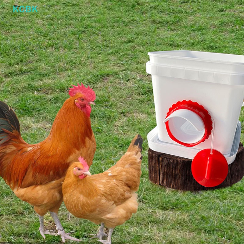 Dụng Cụ Cho Gà Ăn Bằng Nhựa Tiện Dụng