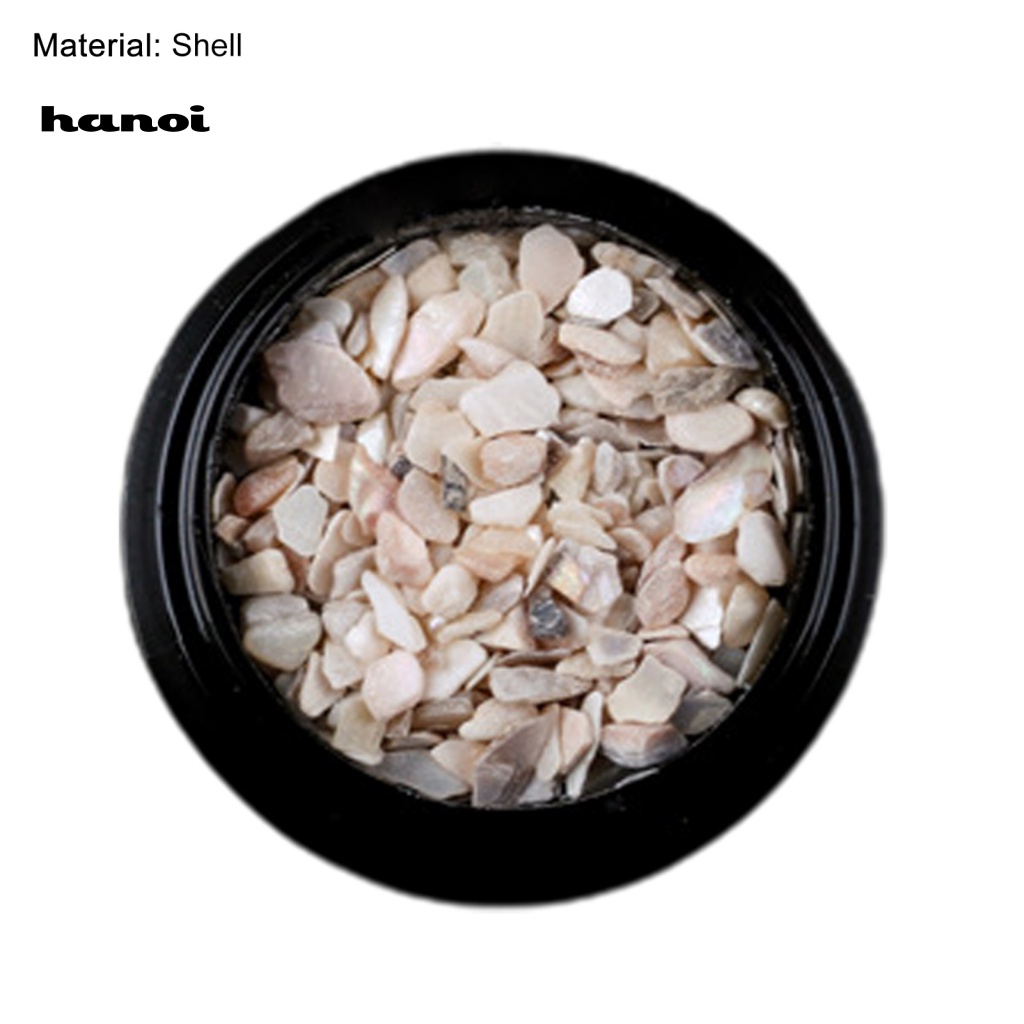 1 Hộp Vỏ Sò Tự Nhiên Trang Trí Móng Tay Nghệ Thuật