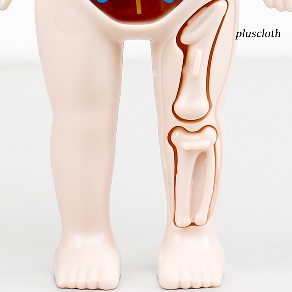 1 Bộ Đồ Chơi Mô Hình Cơ Thể Người Màu Sắc Tươi Sáng Thú Vị Giáo Dục Sớm Cho Bé