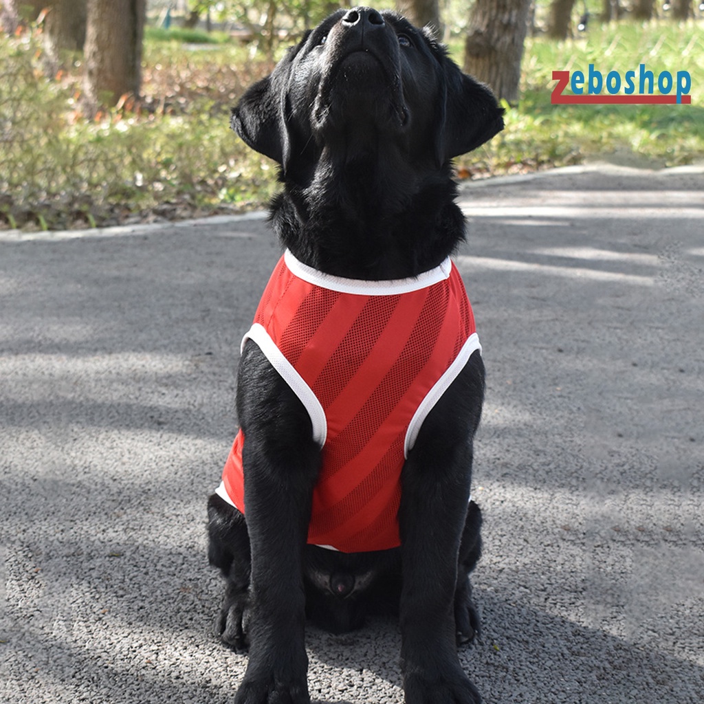 Áo Thun Thể Thao Dạng Lưới Thoáng Khí Cổ Tròn Dành Cho Cún Cưng