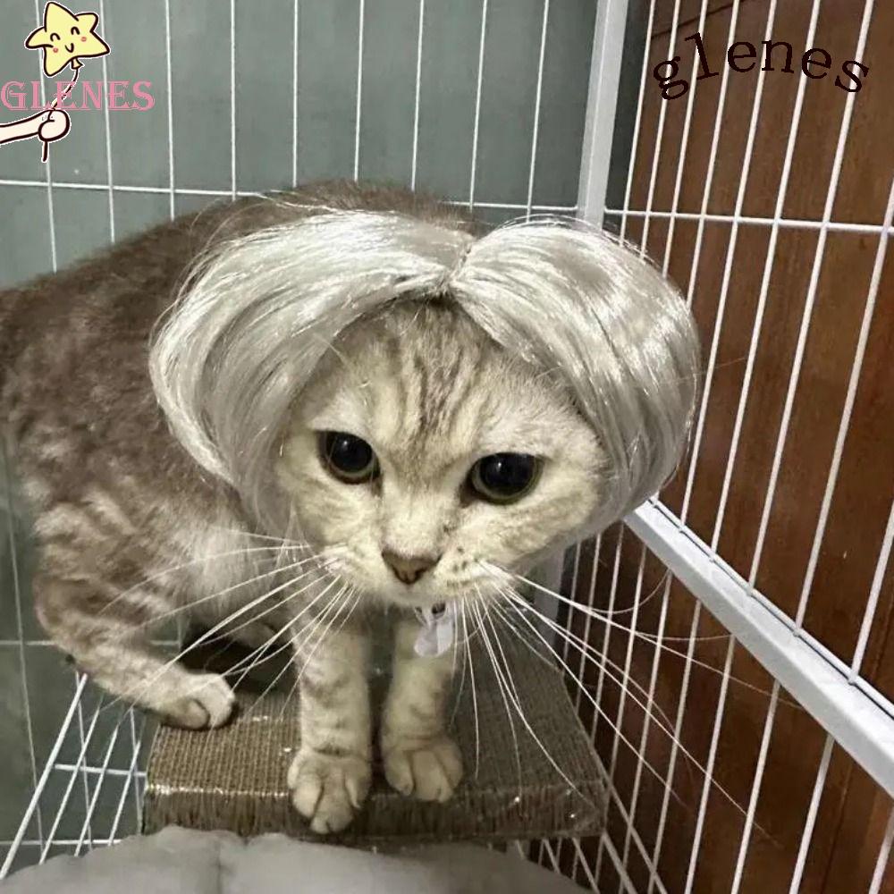 Tóc Giả Bằng Sợi Nylon Bền Thoáng Khí Có Thể Điều Chỉnh Hóa Trang Cho Mèo