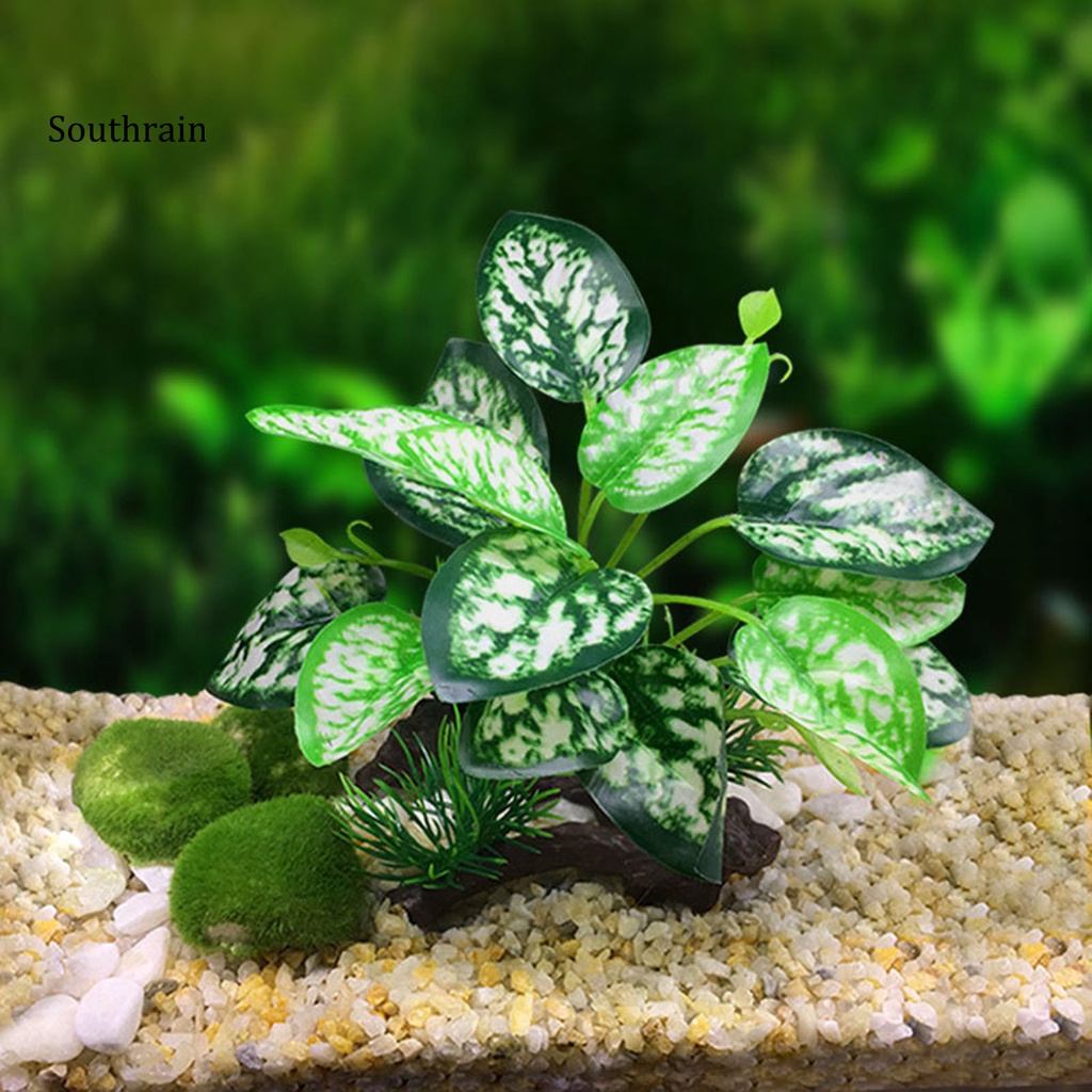 Cỏ NhựA NhiềU KiểU DáNg An ToàN Trang Trí Bể Cá