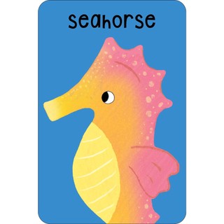 Sách Sea Snap! (Cards)