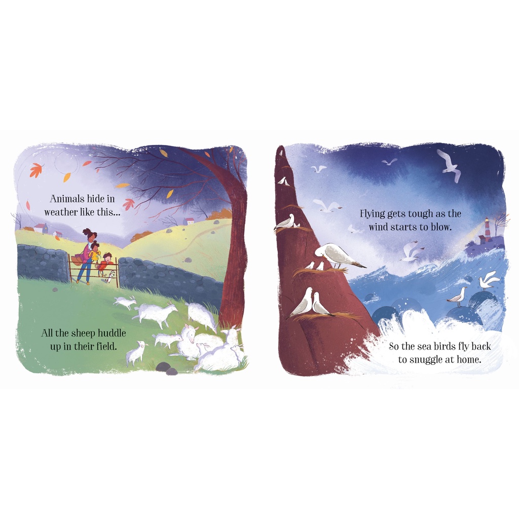 Sách The Stormy Day