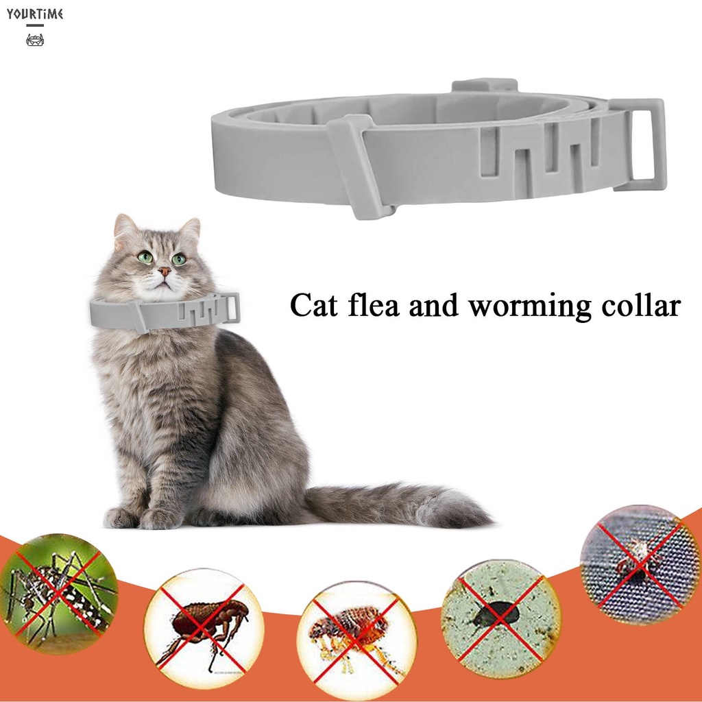 Vòng Cổ BằNg Silicone Cho Thú Cưng