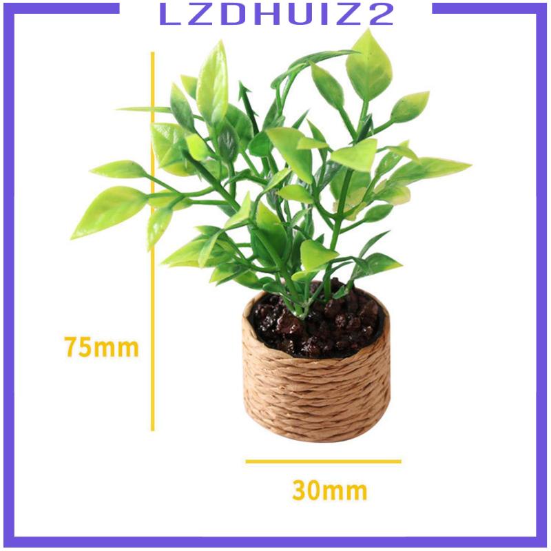 Mô Hình Chậu Cây Tiểu Cảnh Tỉ Lệ 1 / 12 Dùng Trang Trí Nhà Búp Bê