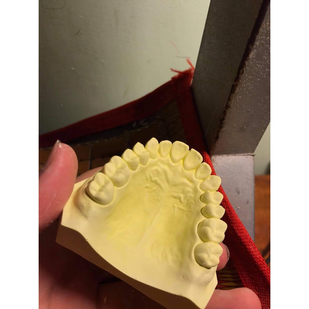 🔥XẢ LỖ🔥 MOULD 28 RĂNG - KHUÔN 28 RĂNG VÀ 32 RĂNG DÙNG ĐỂ ĐỔ MẪU HÀM THẠCH CAO