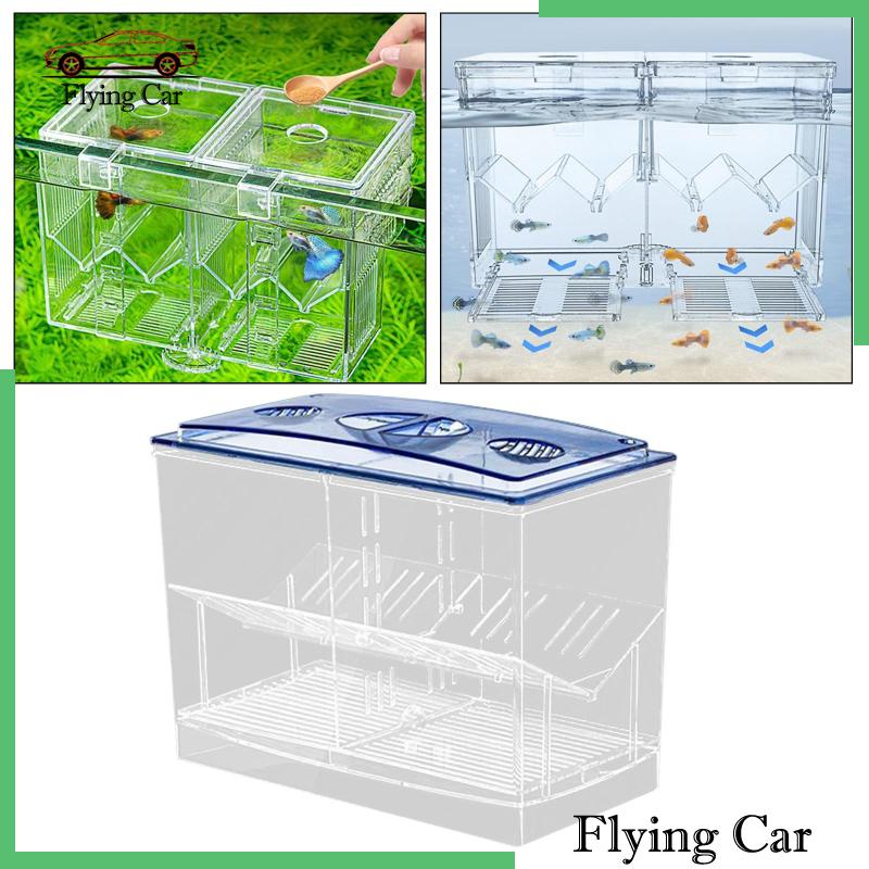 Hộp Nuôi Cá Dễ Sử Dụng Cho Văn Phòng Guppy Betta