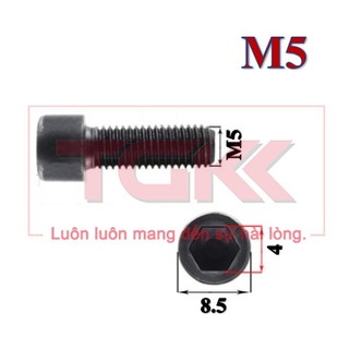 Bulong lgc đầu trụ m5
